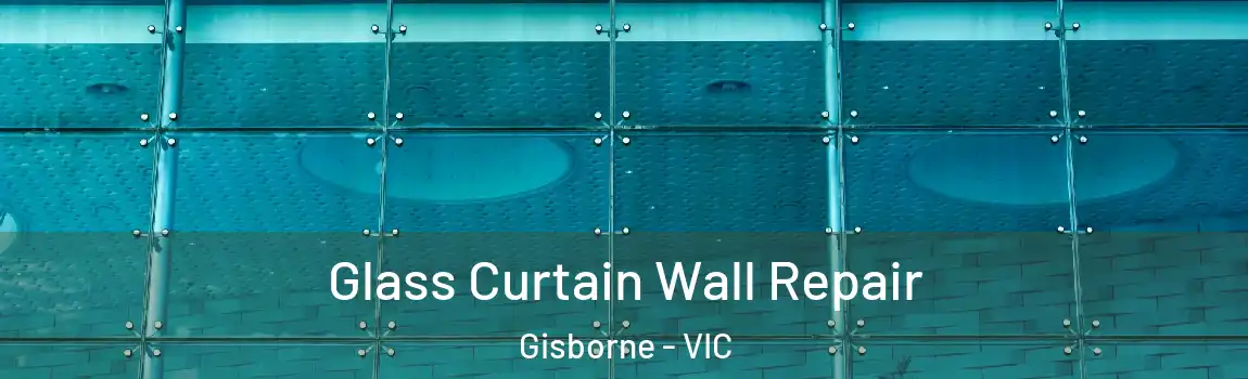 Glass Curtain Wall Repair Gisborne - VIC