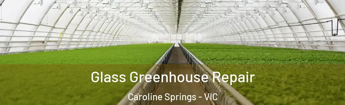 Glass Greenhouse Repair Caroline Springs - VIC