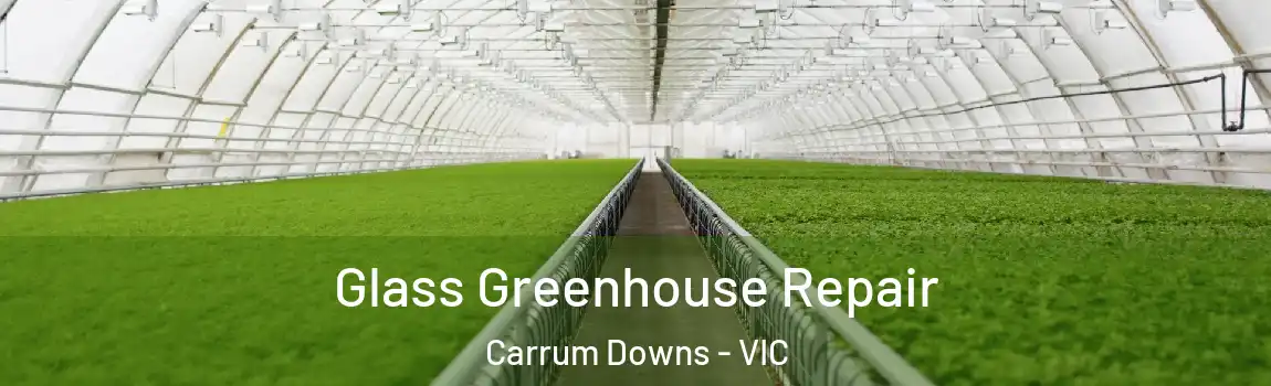 Glass Greenhouse Repair Carrum Downs - VIC