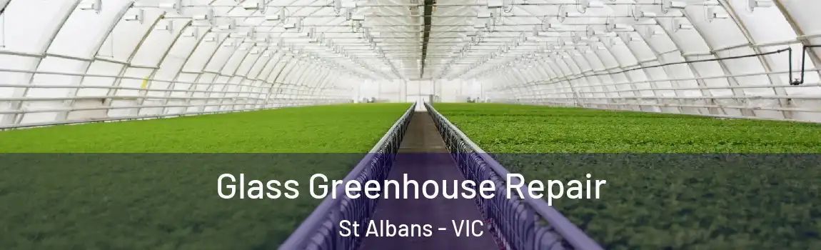 Glass Greenhouse Repair St Albans - VIC