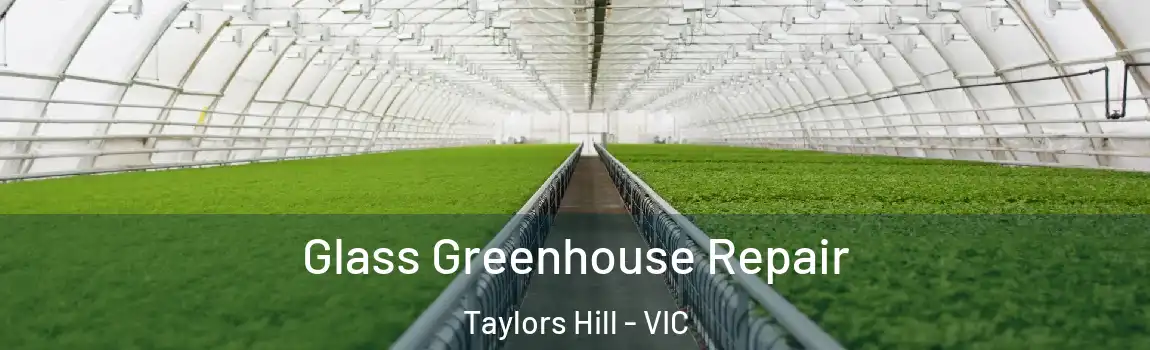 Glass Greenhouse Repair Taylors Hill - VIC