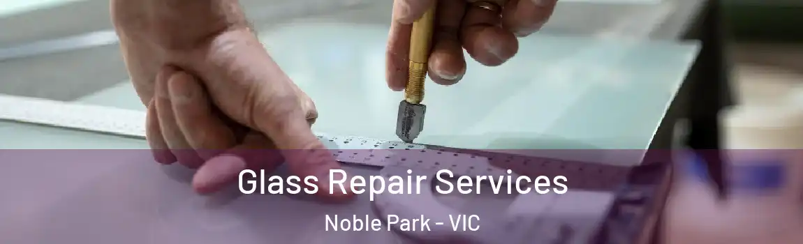 Glass Repair Services Noble Park - VIC