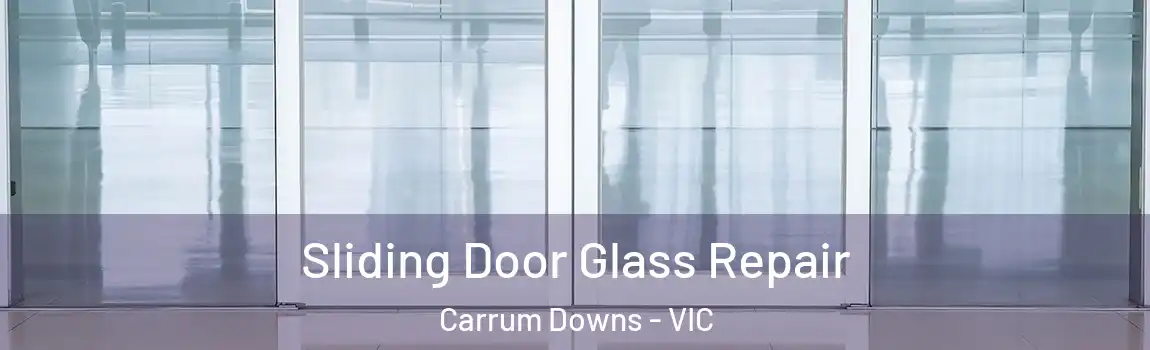 Sliding Door Glass Repair Carrum Downs - VIC
